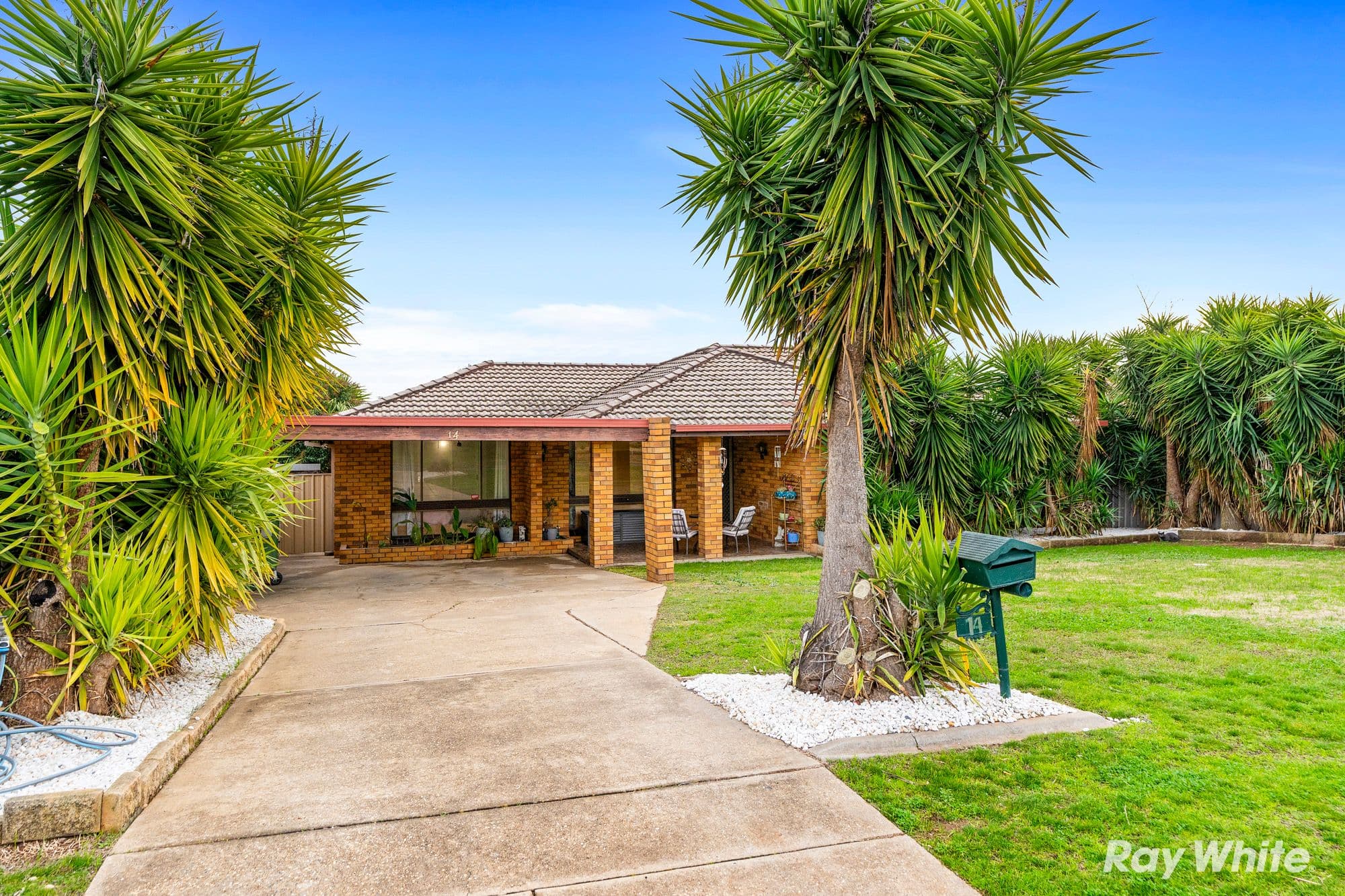 14 Dove Street, Mount Austin NSW 2650, Mount Austin - Image 1