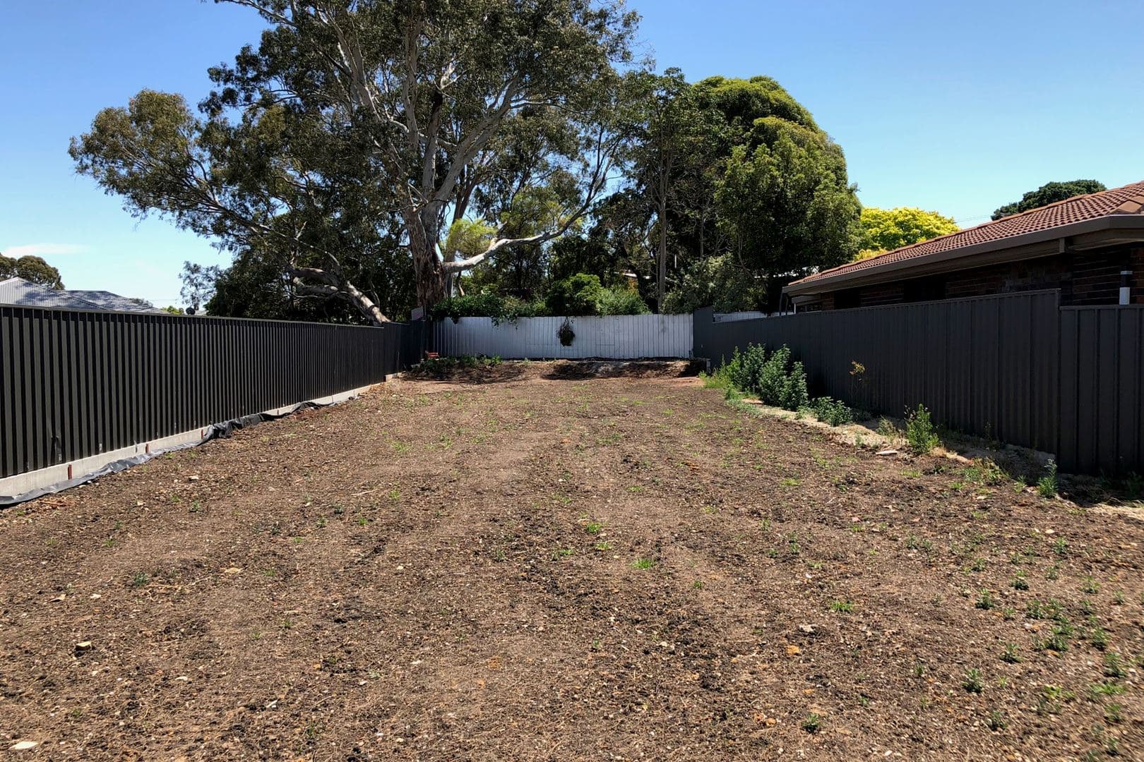 8A Mavis Street, Ridgehaven SA 5097, Ridgehaven - Thumbnail 3