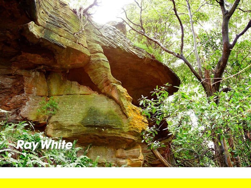 72 Algernon Street, OATLEY NSW 2223, Oatley - Thumbnail 6