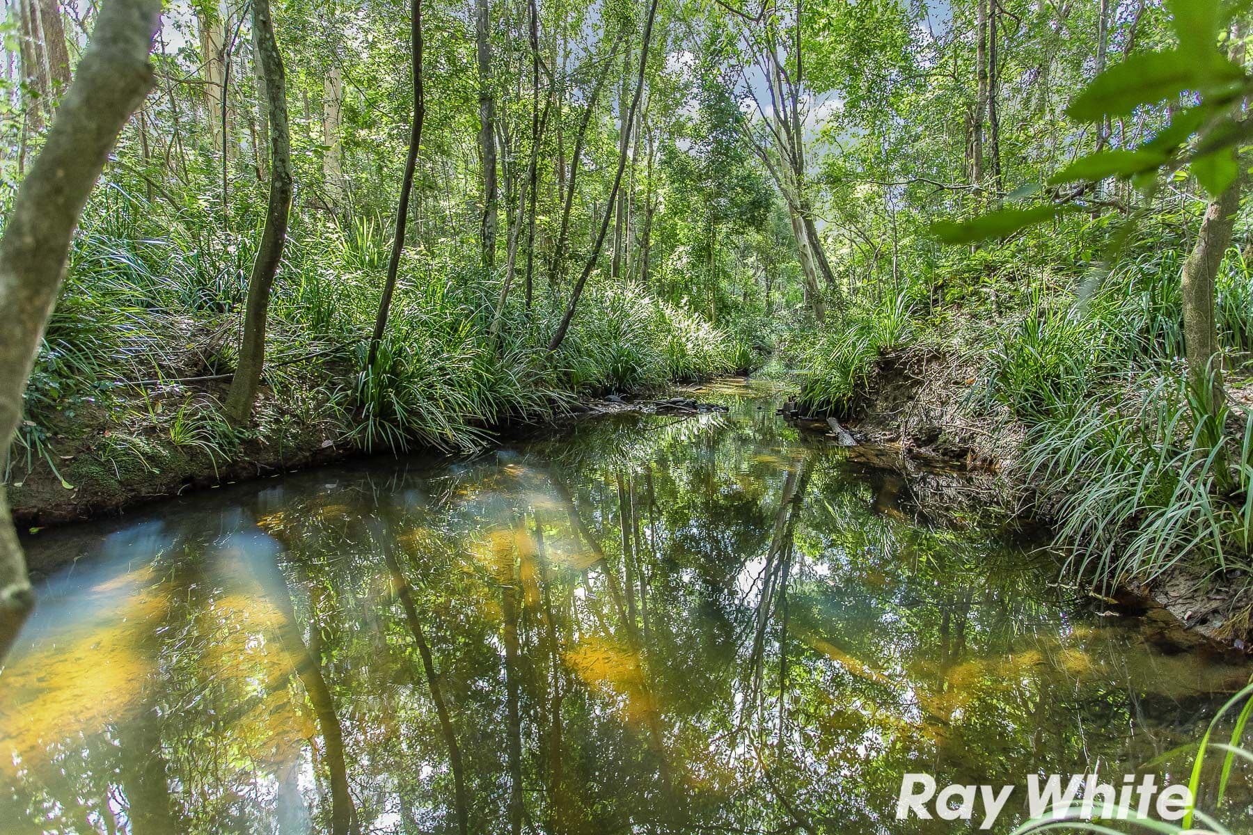 71 Roberts Road, Narangba QLD 4504, Narangba - Thumbnail 4