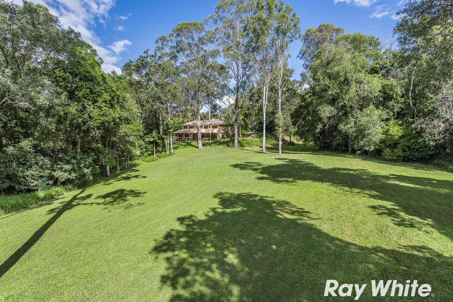 71 Roberts Road, Narangba QLD 4504, Narangba - Thumbnail 5