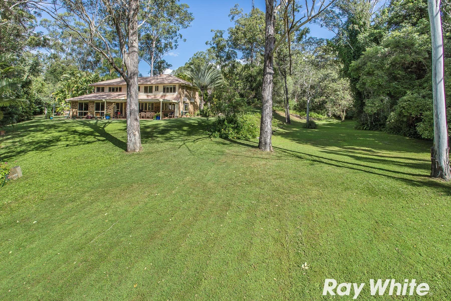 71 Roberts Road, Narangba QLD 4504, Narangba - Thumbnail 6