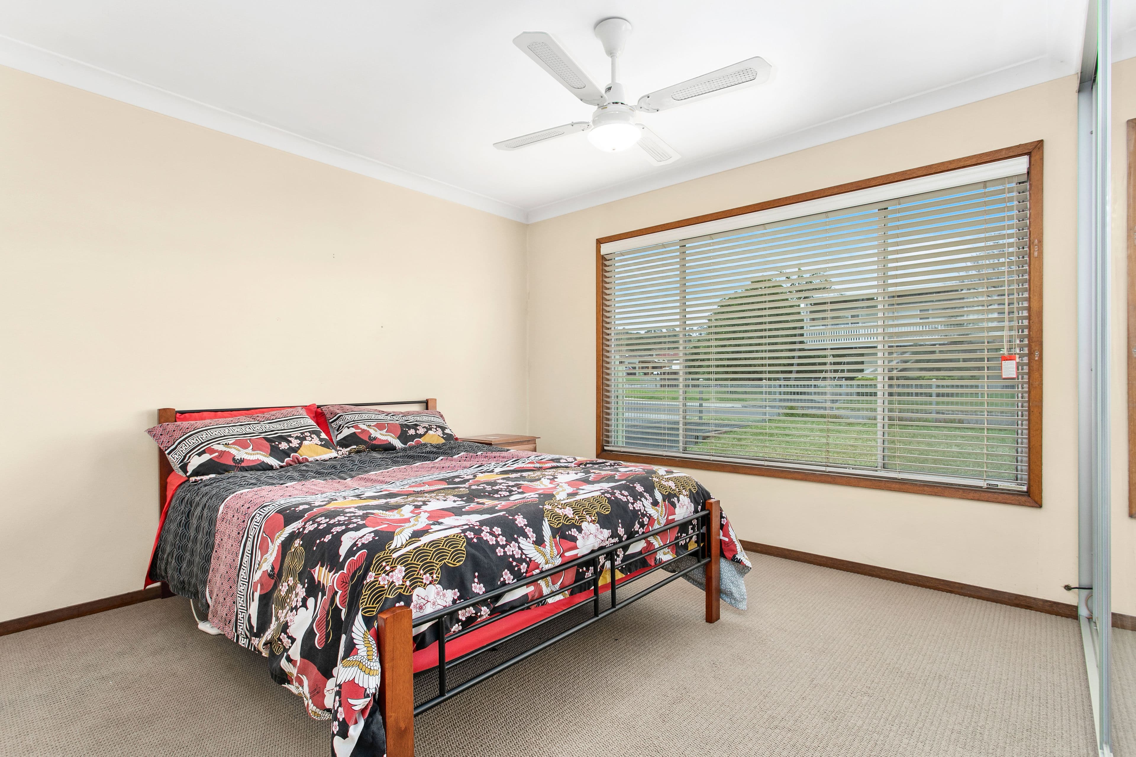 11 Dovers Avenue, Albion Park NSW 2527, Albion Park - Thumbnail 5