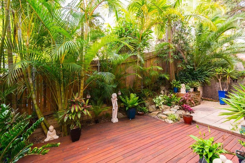 5 Mosman Street (access via Badham Ave), MOSMAN NSW 2088, Mosman - Thumbnail 3