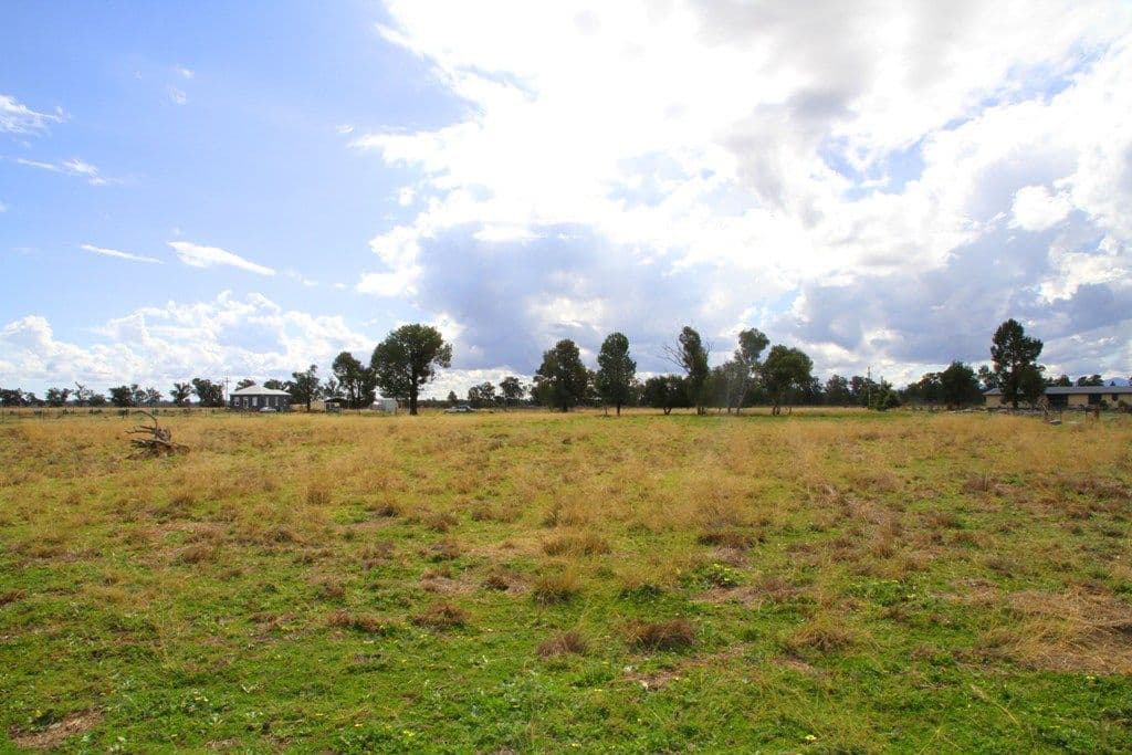 271 Jacks Creek Road, Narrabri NSW 2390, Narrabri - Thumbnail 3
