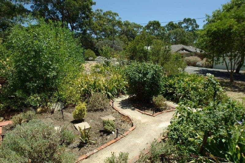 9 Elm Street, HAWTHORNDENE SA 5051, Hawthorndene - Thumbnail 8