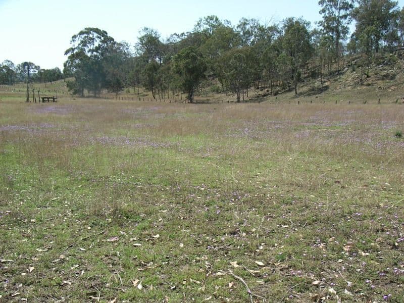 Lot 386  New England Highway, COOYAR QLD 4402, Cooyar - Thumbnail 3