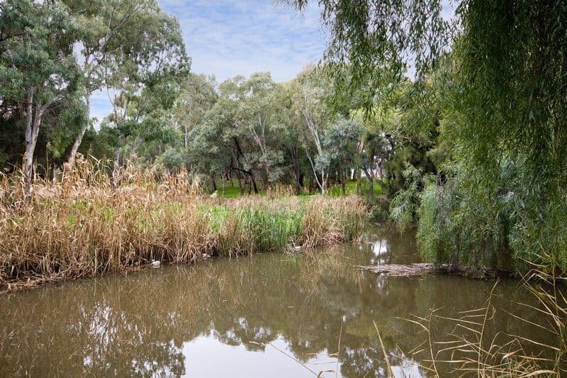 66 Torrens Avenue, LOCKLEYS SA 5032, Lockleys - Thumbnail 4