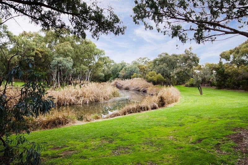 66 Torrens Avenue, LOCKLEYS SA 5032, Lockleys - Thumbnail 5