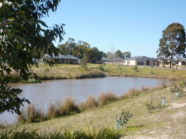 12 Black Wallaby Drive, LANGWARRIN VIC 3910, Langwarrin - Thumbnail 3