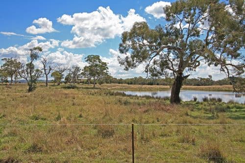 23 The Forest Road, BYWONG NSW 2621, Bywong - Thumbnail 4