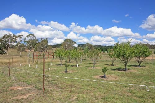 23 The Forest Road, BYWONG NSW 2621, Bywong - Thumbnail 5