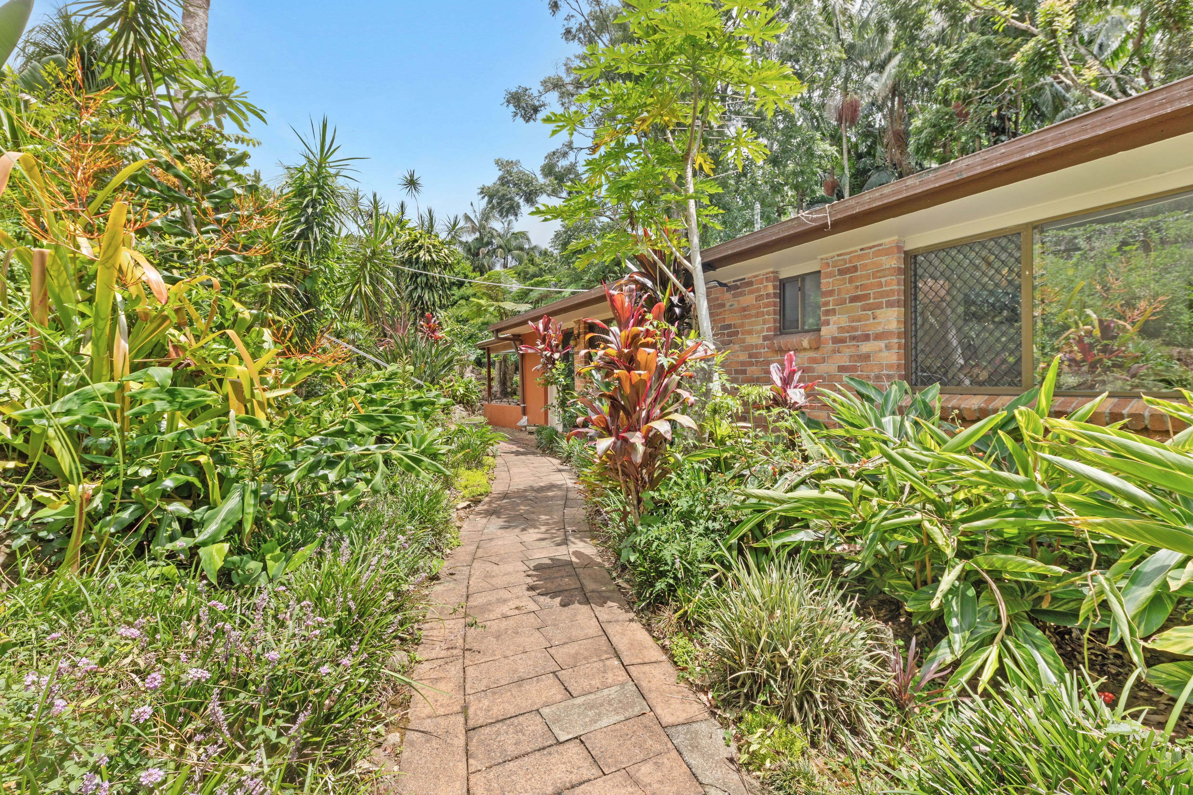 14 Forsythia Drive, Tamborine Mountain QLD 4272, Tamborine Mountain - Thumbnail 3