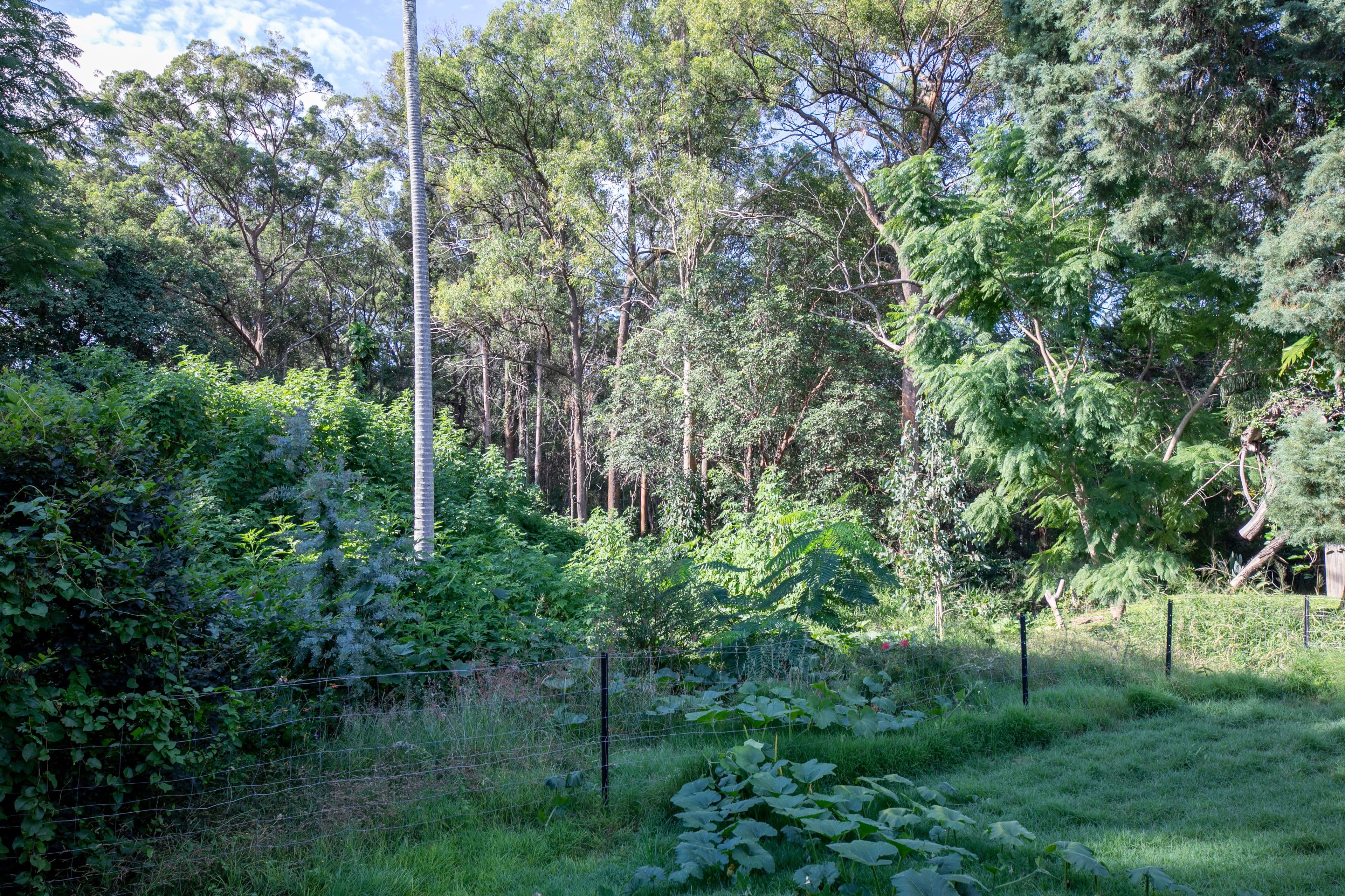 42 Andrew Avenue, Tarragindi QLD 4121, Tarragindi - Image 1
