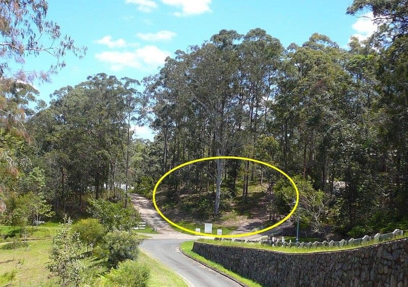Lot 13 Raintree Close, MOOLOOLAH VALLEY QLD 4553, Mooloolah Valley - Image 1