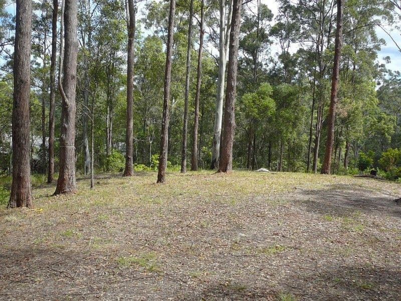 Lot 13 Raintree Close, MOOLOOLAH VALLEY QLD 4553, Mooloolah Valley - Thumbnail 2