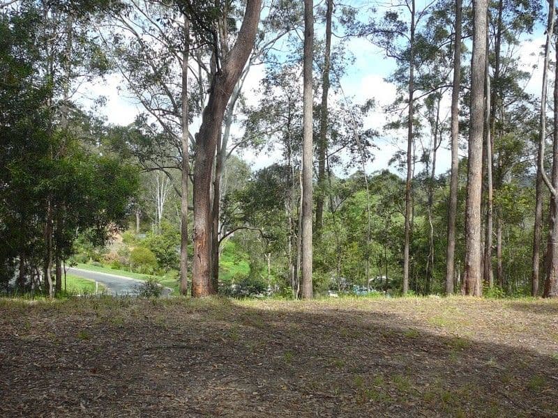 Lot 13 Raintree Close, MOOLOOLAH VALLEY QLD 4553, Mooloolah Valley - Thumbnail 5