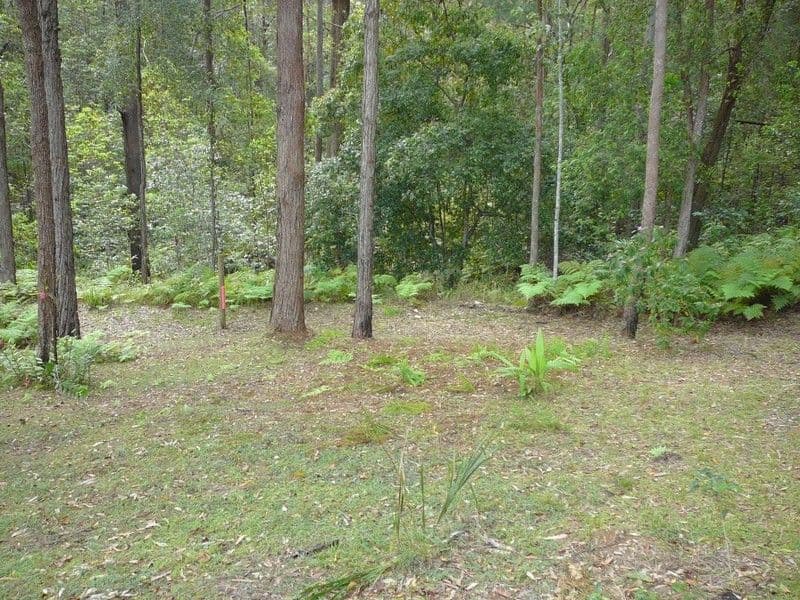 Lot 13 Raintree Close, MOOLOOLAH VALLEY QLD 4553, Mooloolah Valley - Thumbnail 8