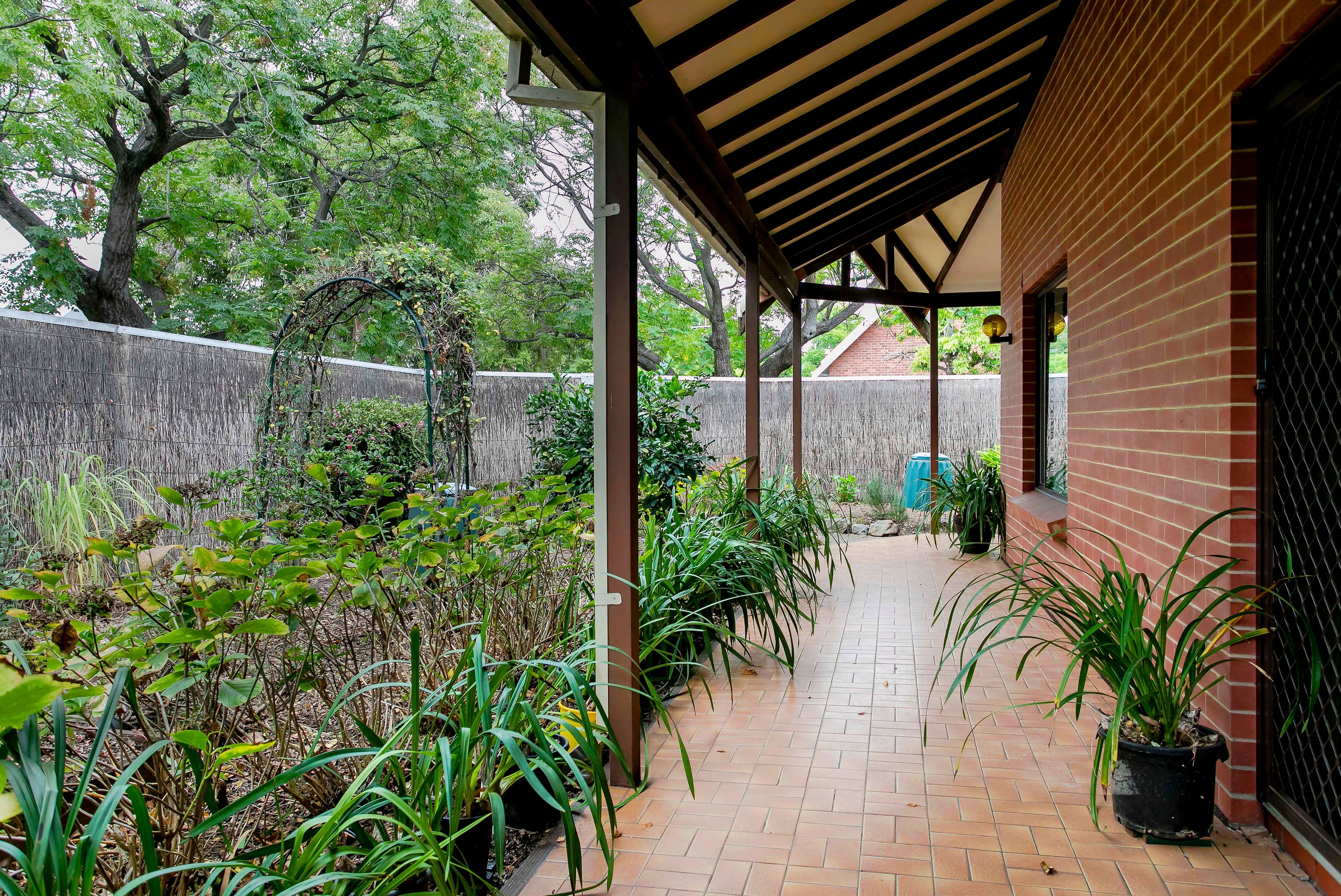 268 Young Street, Wayville SA 5034, Wayville - Thumbnail 3