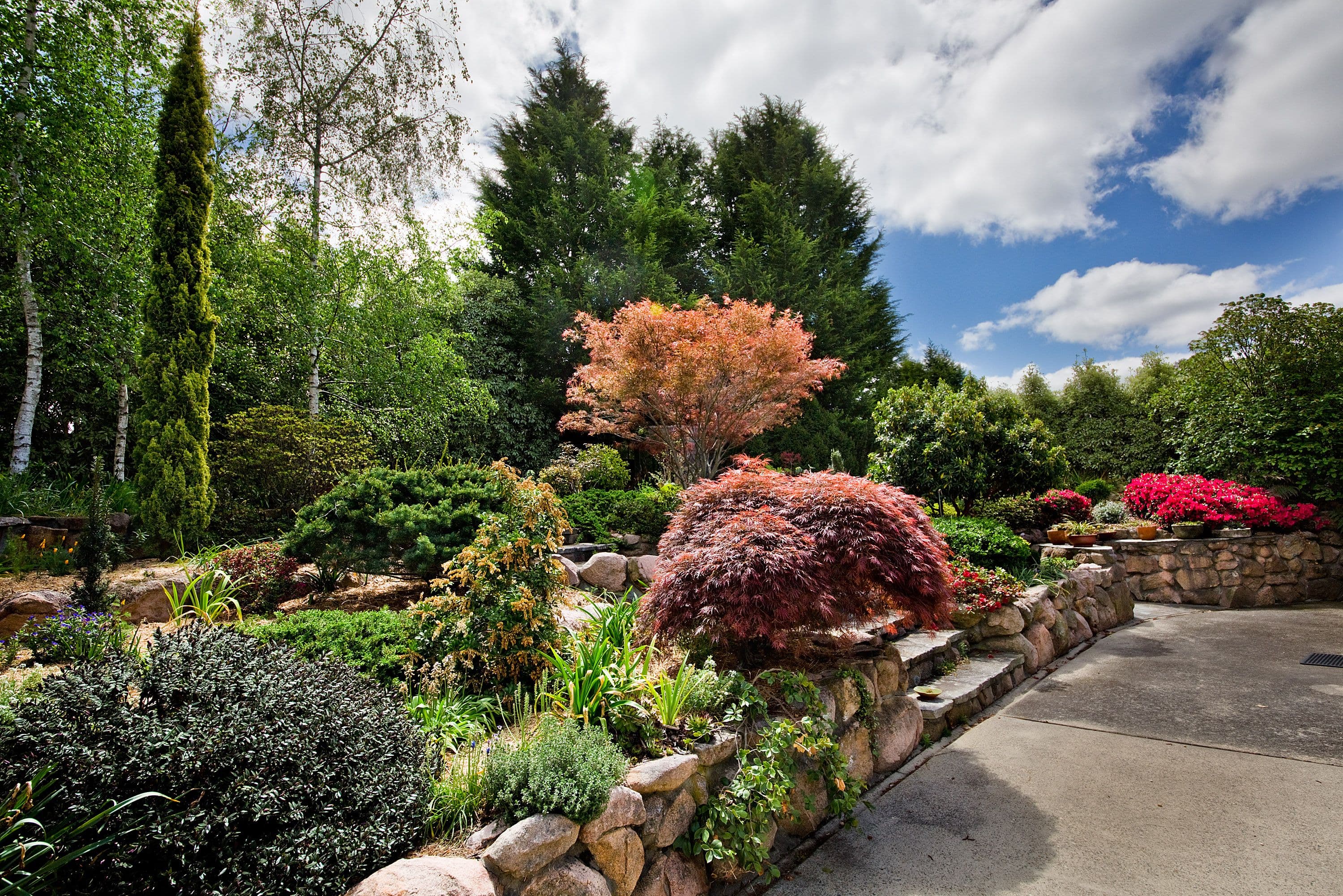 9 Wecoma Court, Craigmore - Thumbnail 8