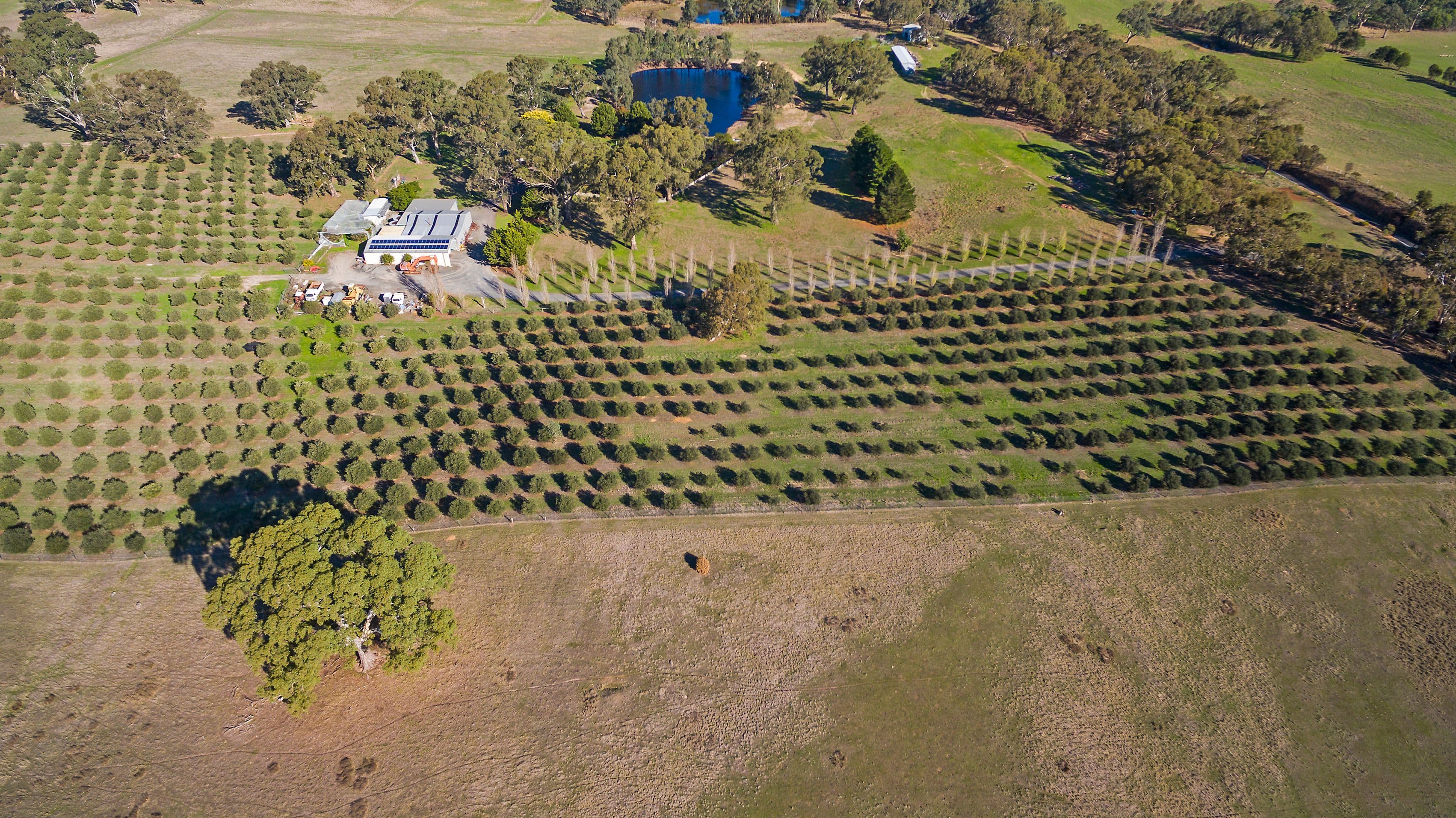 226 Cromer Road, Birdwood SA 5234, Birdwood - Thumbnail 2