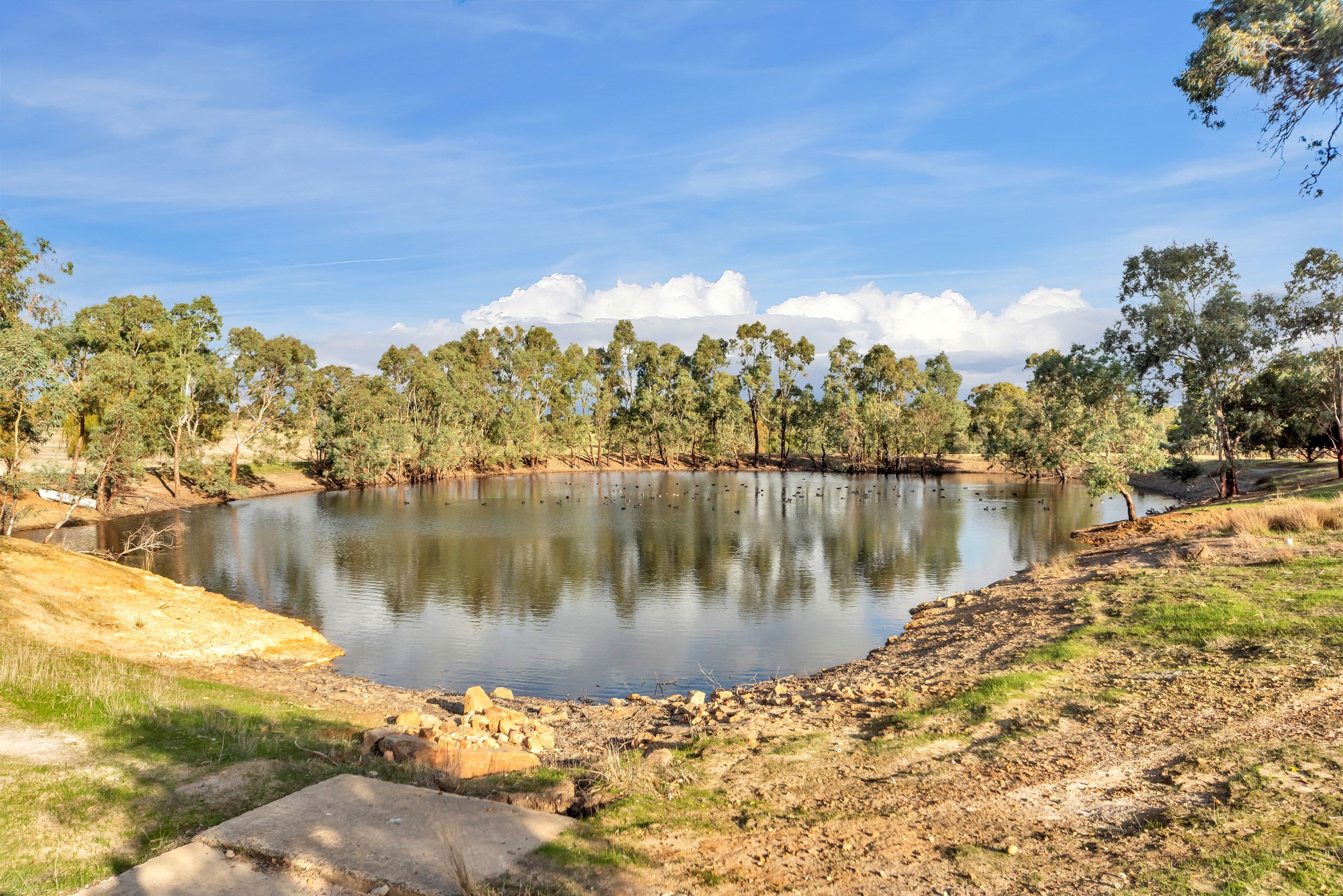226 Cromer Road, Birdwood SA 5234, Birdwood - Thumbnail 3