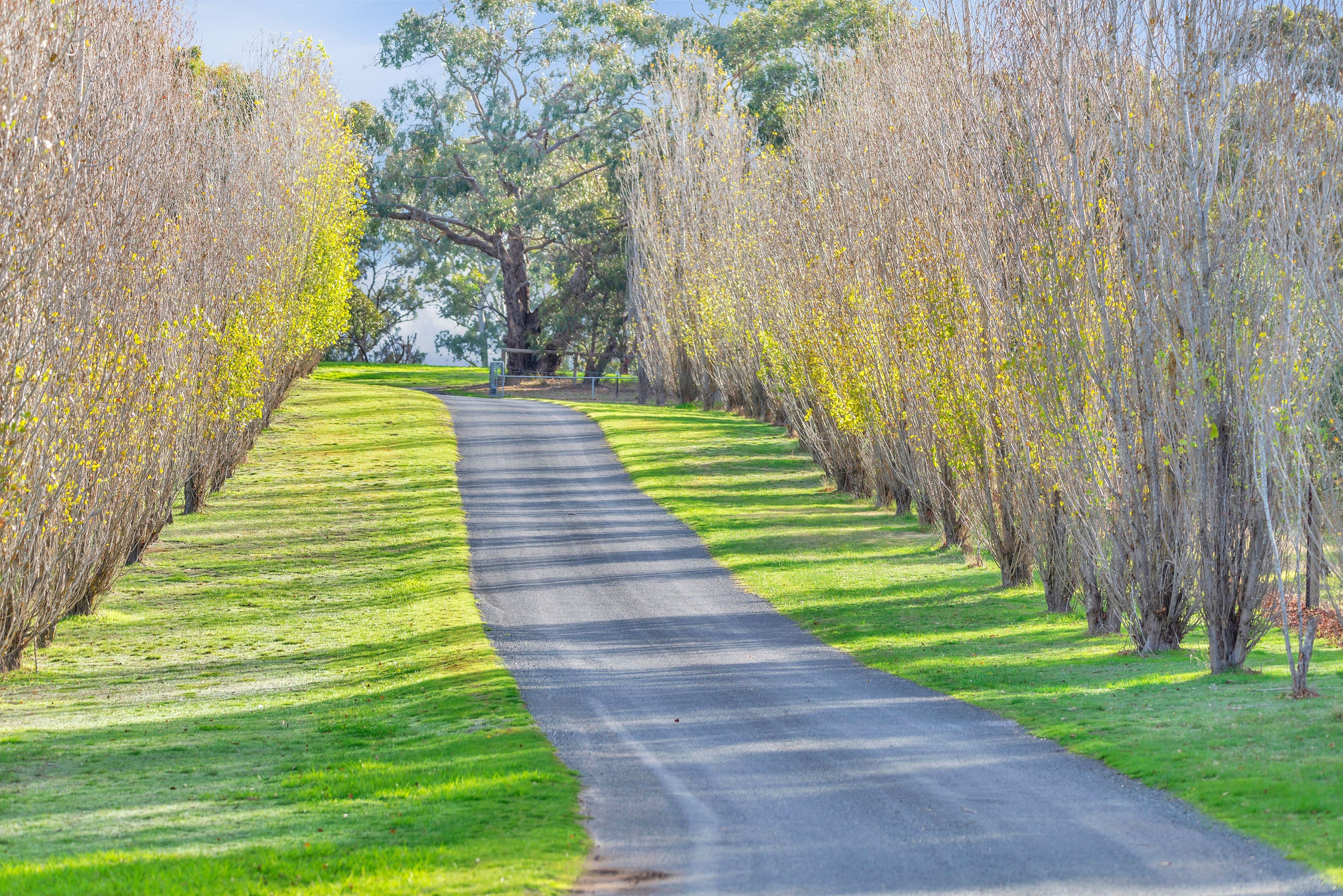 226 Cromer Road, Birdwood SA 5234, Birdwood - Thumbnail 4