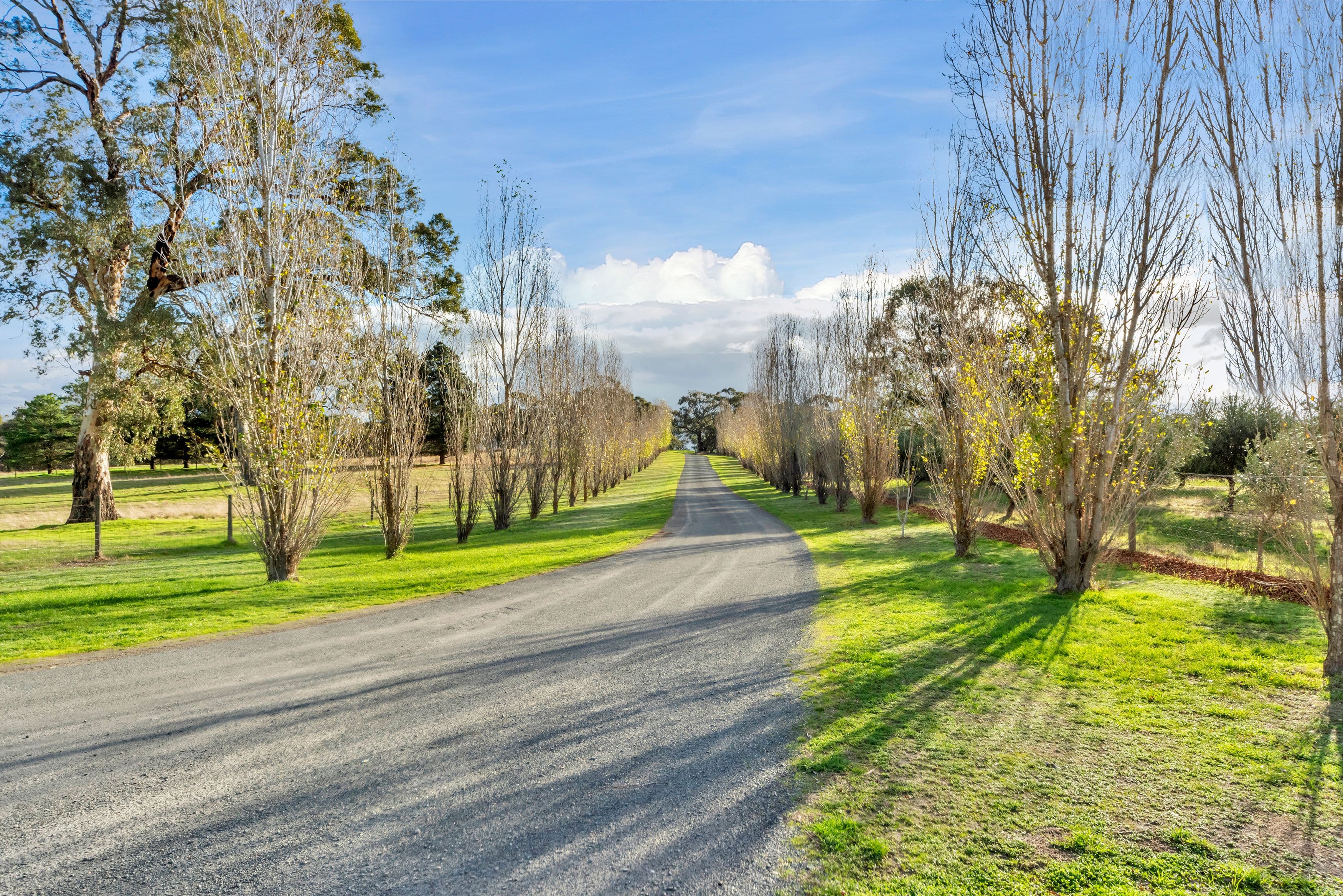 226 Cromer Road, Birdwood SA 5234, Birdwood - Thumbnail 5