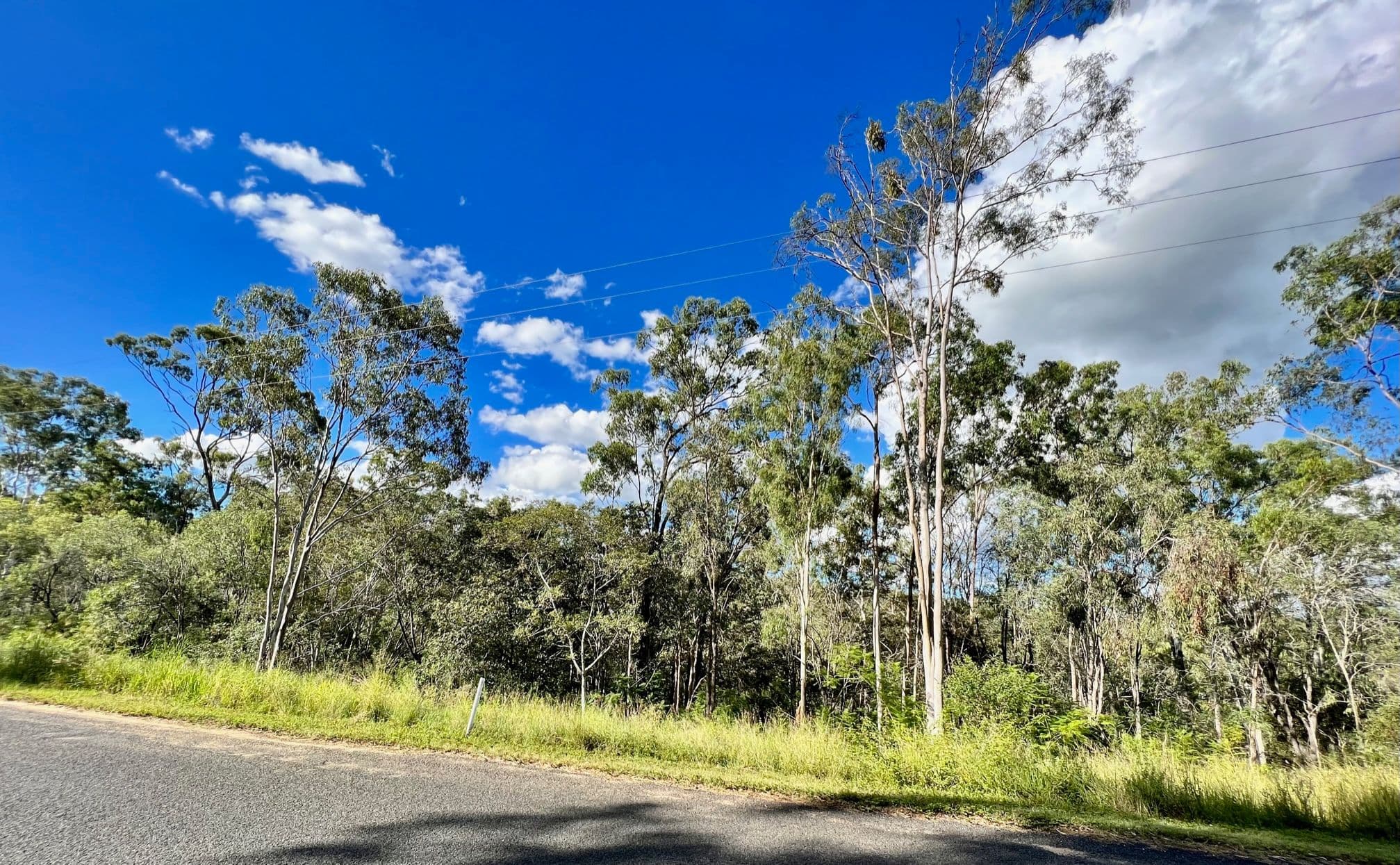 River Pines Drive, Delan QLD 4671, Delan - Image 1