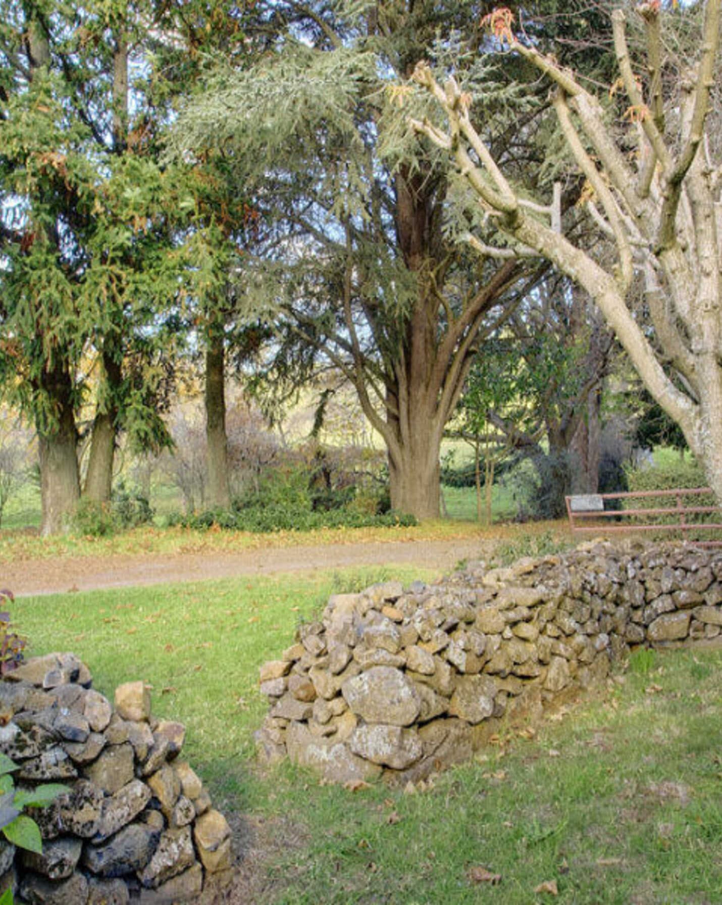 192 Werai Road Exeter, Exeter - Thumbnail 6