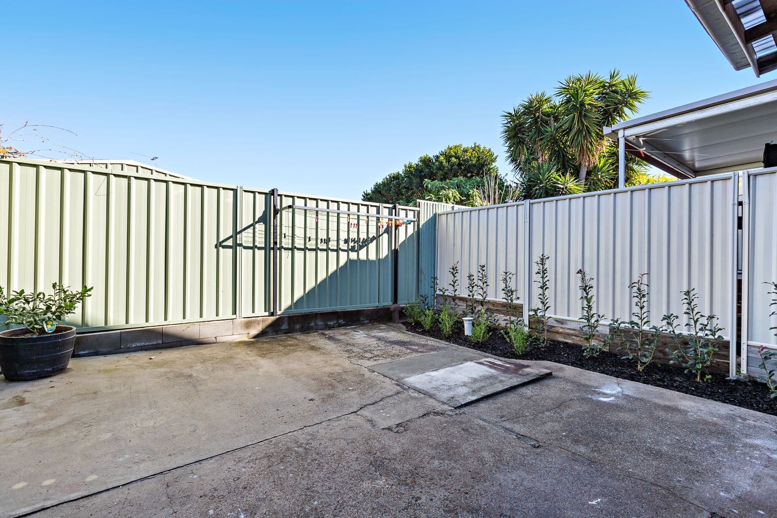 37 Gipps Street, Carrington - Thumbnail 7