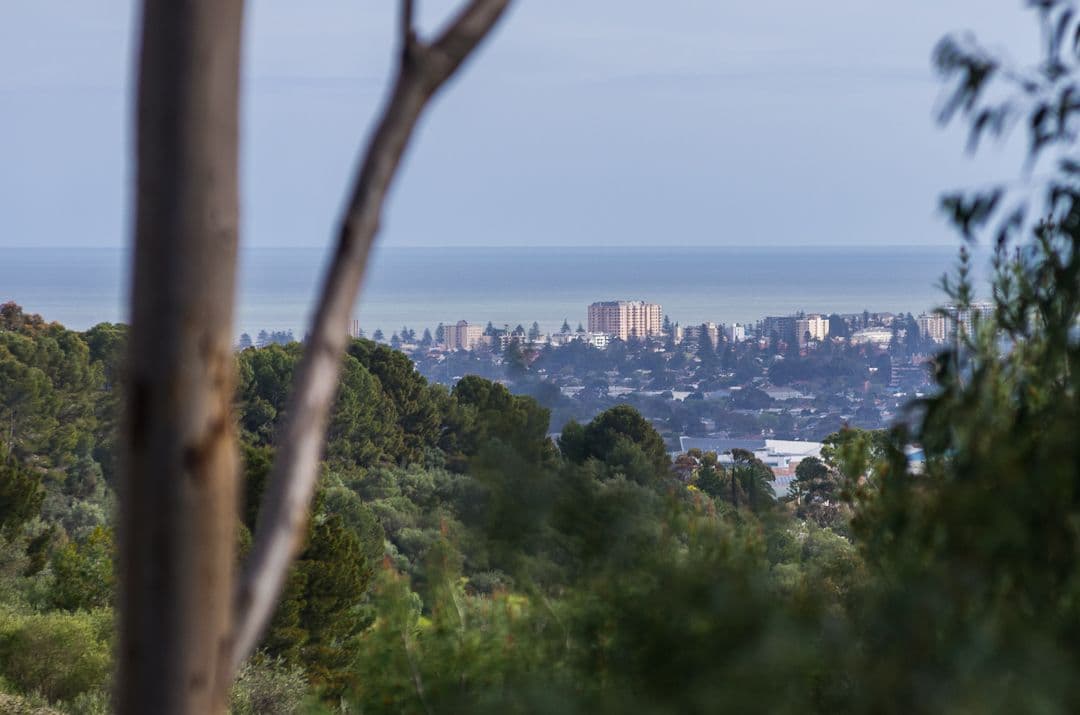 16 Salvador Street, Flagstaff Hill SA 5159, Flagstaff Hill - Thumbnail 2