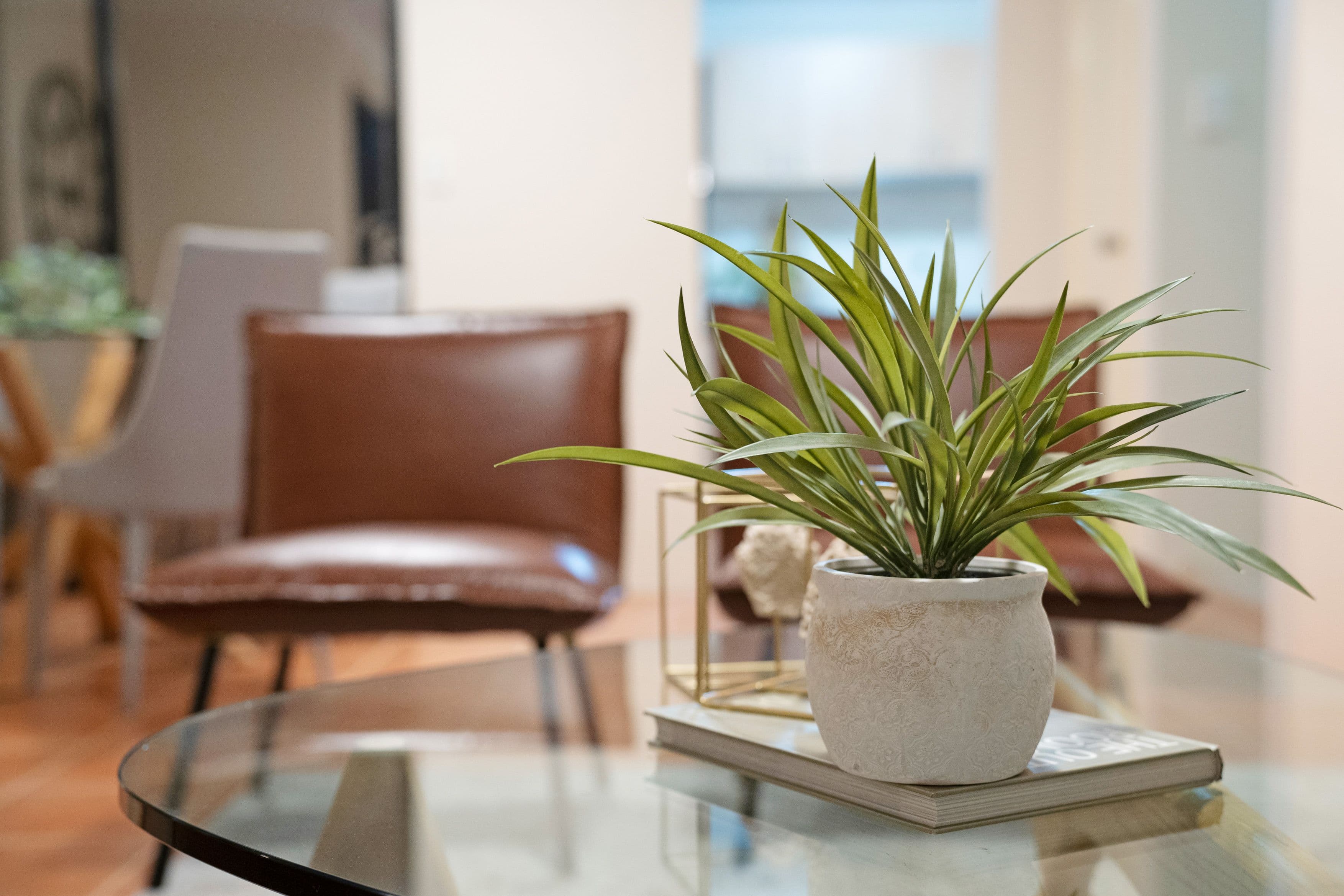 35C Pollard Street, Glendalough WA 6016, Glendalough - Thumbnail 8