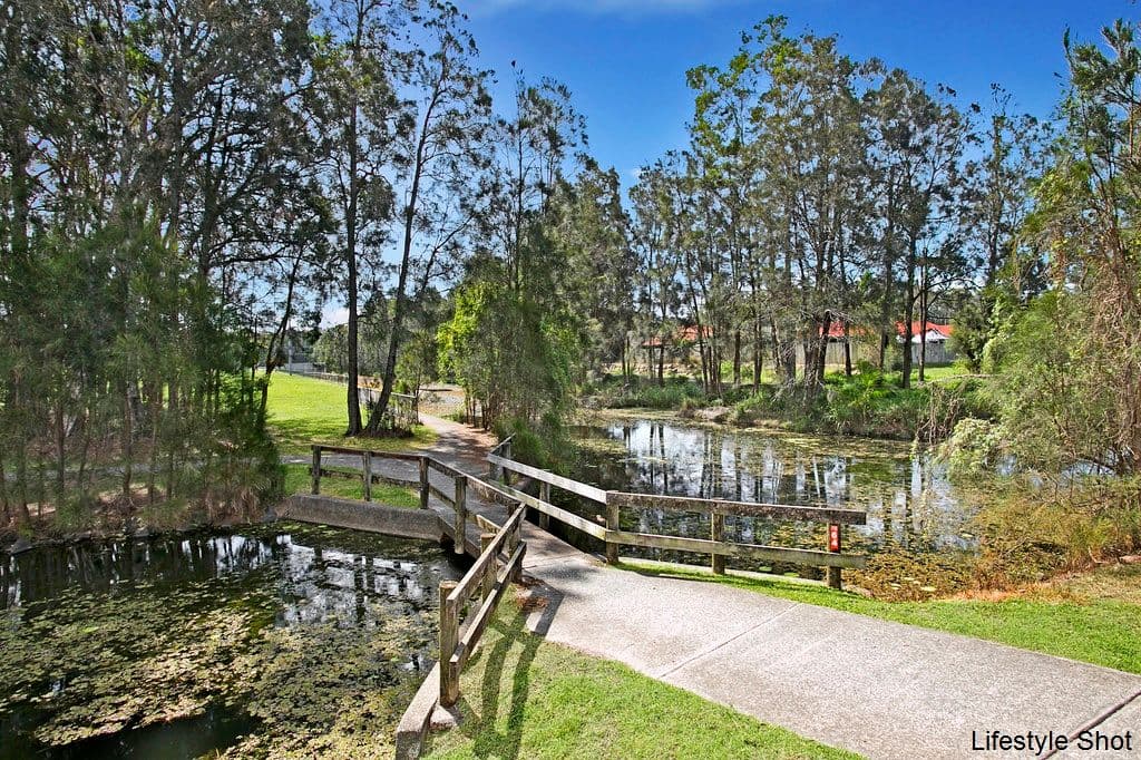 33 Foxhill Place, Banora Point NSW 2486, Banora Point - Thumbnail 4