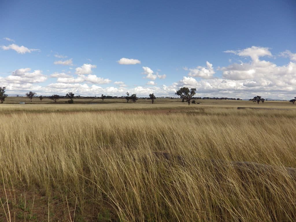 Lot 122 New Winton Road, Tamworth NSW 2340, Tamworth - Image 1
