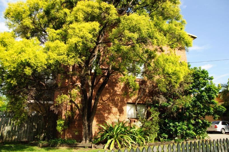 40 Hamson Terrace, NUNDAH QLD 4012, Nundah - Thumbnail 2