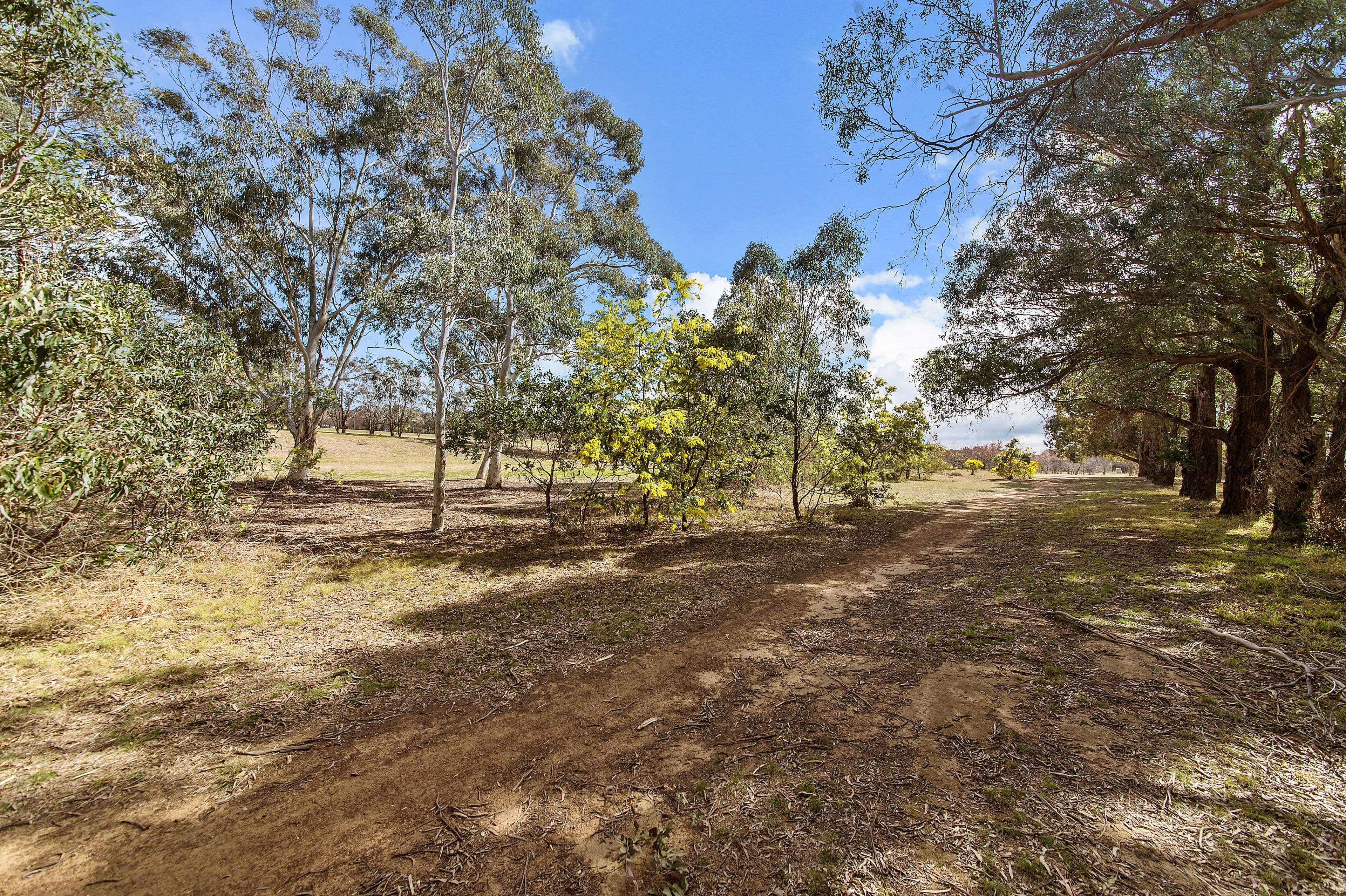 26 Pambula Street, Kaleen ACT 2617, Kaleen - Thumbnail 4