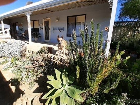 26 Ocean View Drive, Green Head WA 6514, Green Head - Image 1