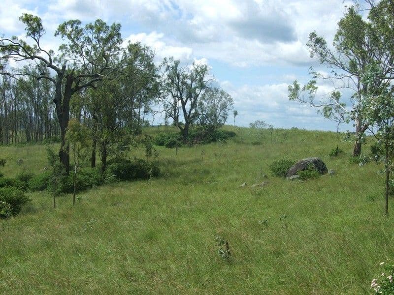 Lot 6 Pierces Creek Road, EMU CREEK QLD 4355, Emu Creek - Thumbnail 3