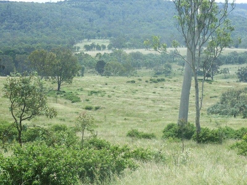 Lot 6 Pierces Creek Road, EMU CREEK QLD 4355, Emu Creek - Thumbnail 5