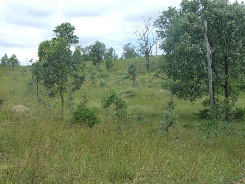 Lot 6 Pierces Creek Road, EMU CREEK QLD 4355, Emu Creek - Thumbnail 6
