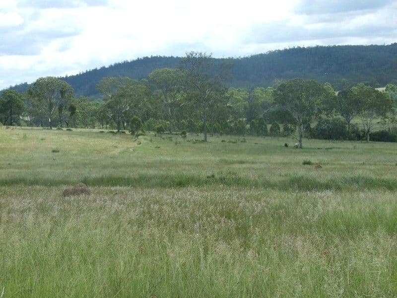 Lot 6 Pierces Creek Road, EMU CREEK QLD 4355, Emu Creek - Thumbnail 7