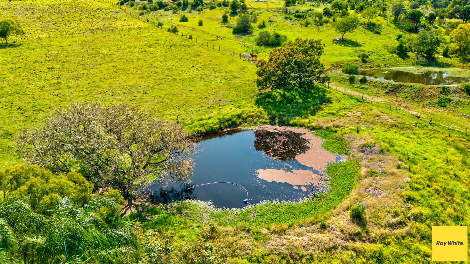 71 Litzows Road, Tarampa QLD 4311, Tarampa - Thumbnail 7