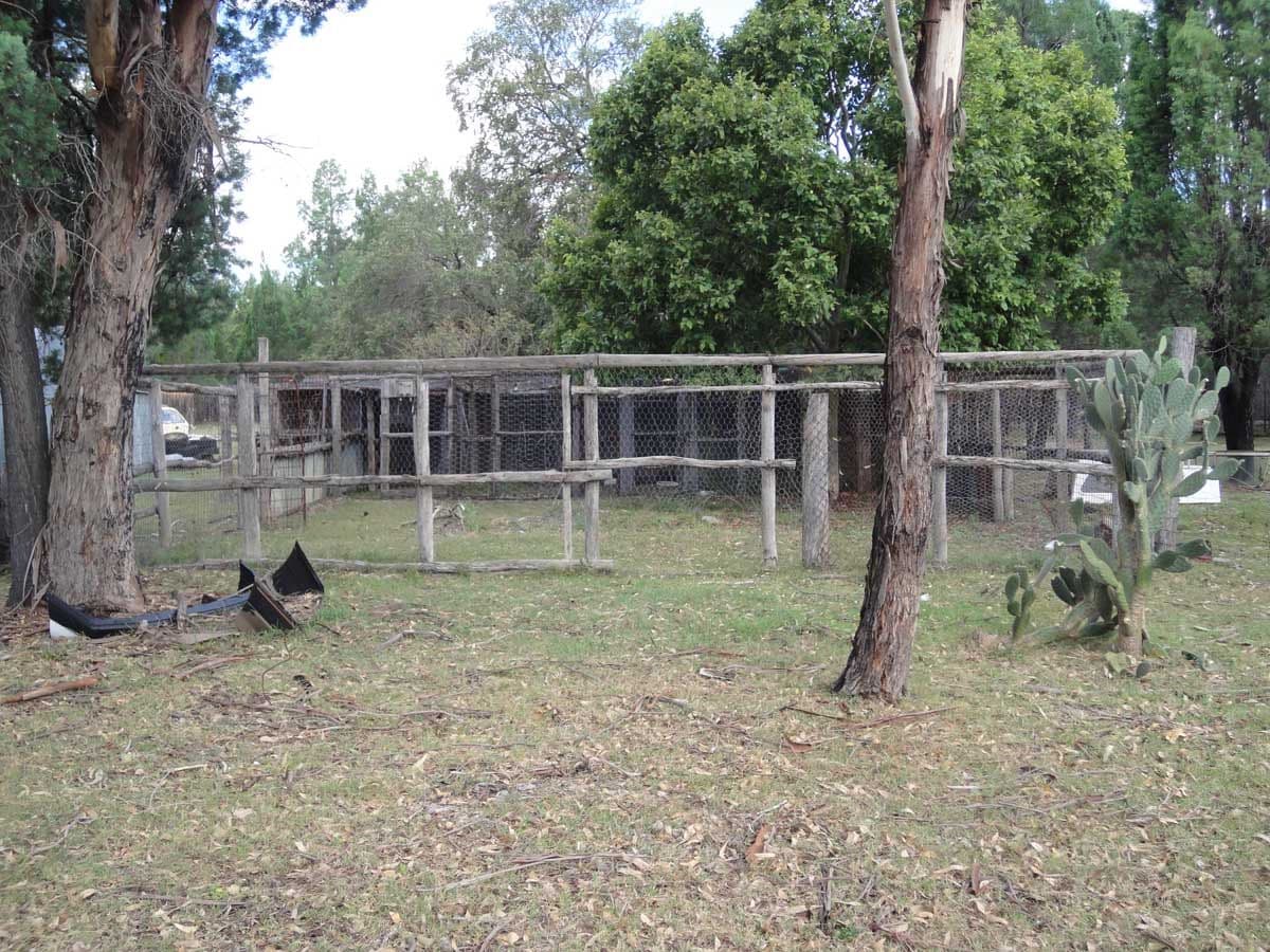 1 Violet Road, MILLMERRAN DOWNS QLD 4357, Millmerran Downs - Thumbnail 5