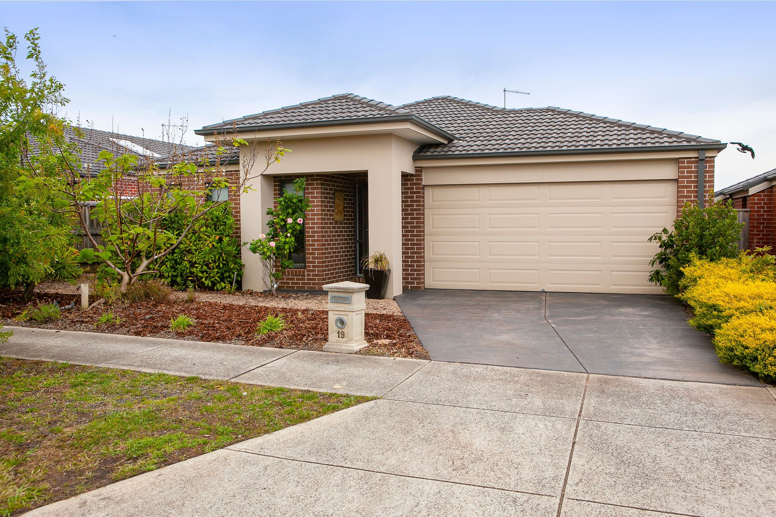 19 Romina Drive, Langwarrin VIC 3910, Langwarrin - Image 1