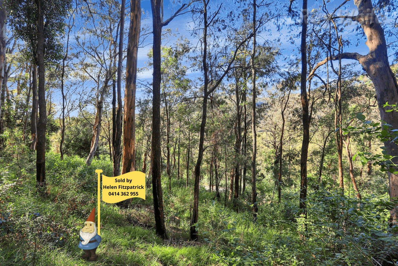 4482 Wisemans Ferry Road, Spencer NSW 2775, Spencer - Thumbnail 2