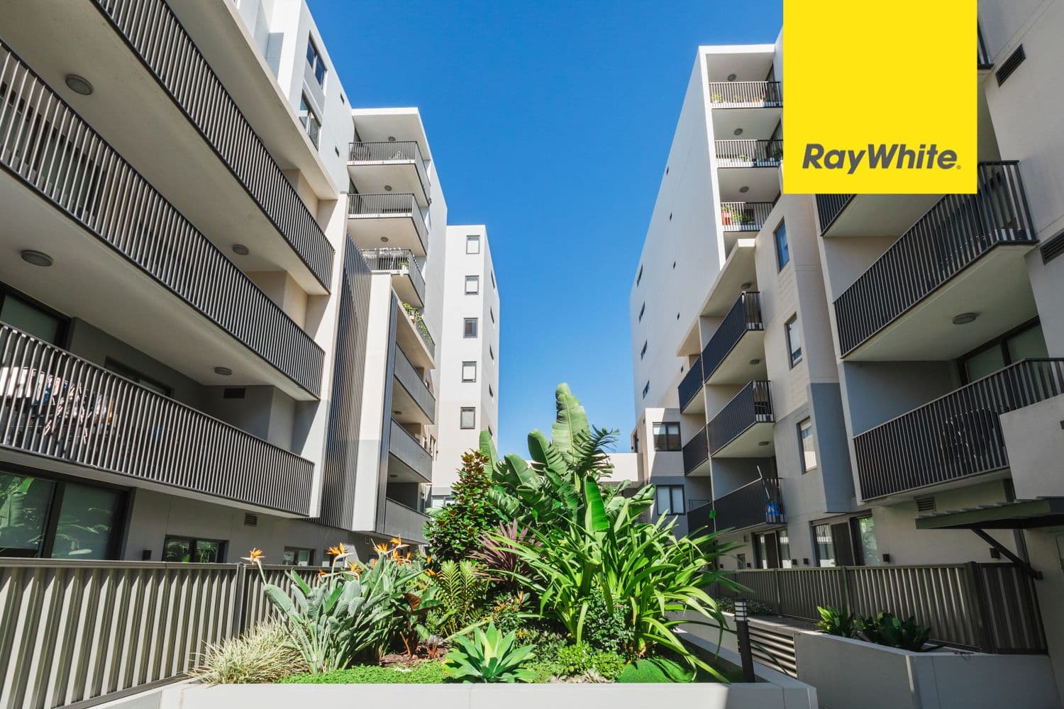 548-568 Canterbury Road, Campsie NSW 2194, Campsie - Thumbnail 2