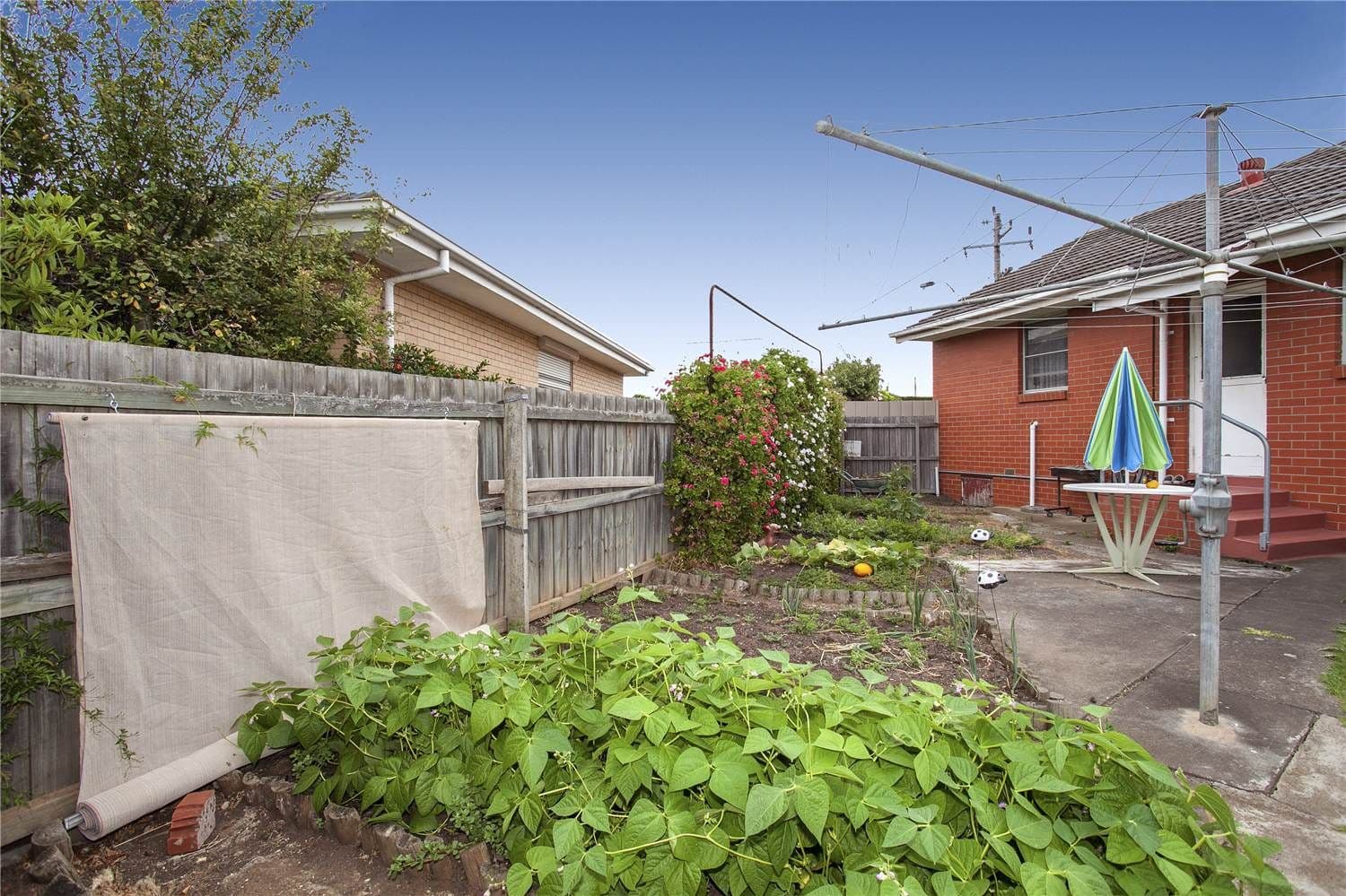 127 Purnell Road, CORIO VIC 3214, Corio - Thumbnail 5