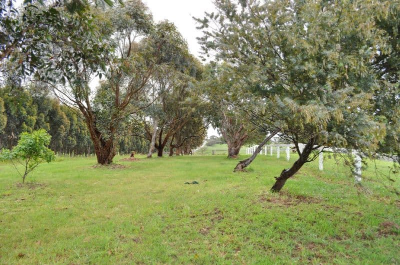 125 St Marys Road, WANGOOM VIC 3279, Wangoom - Thumbnail 2