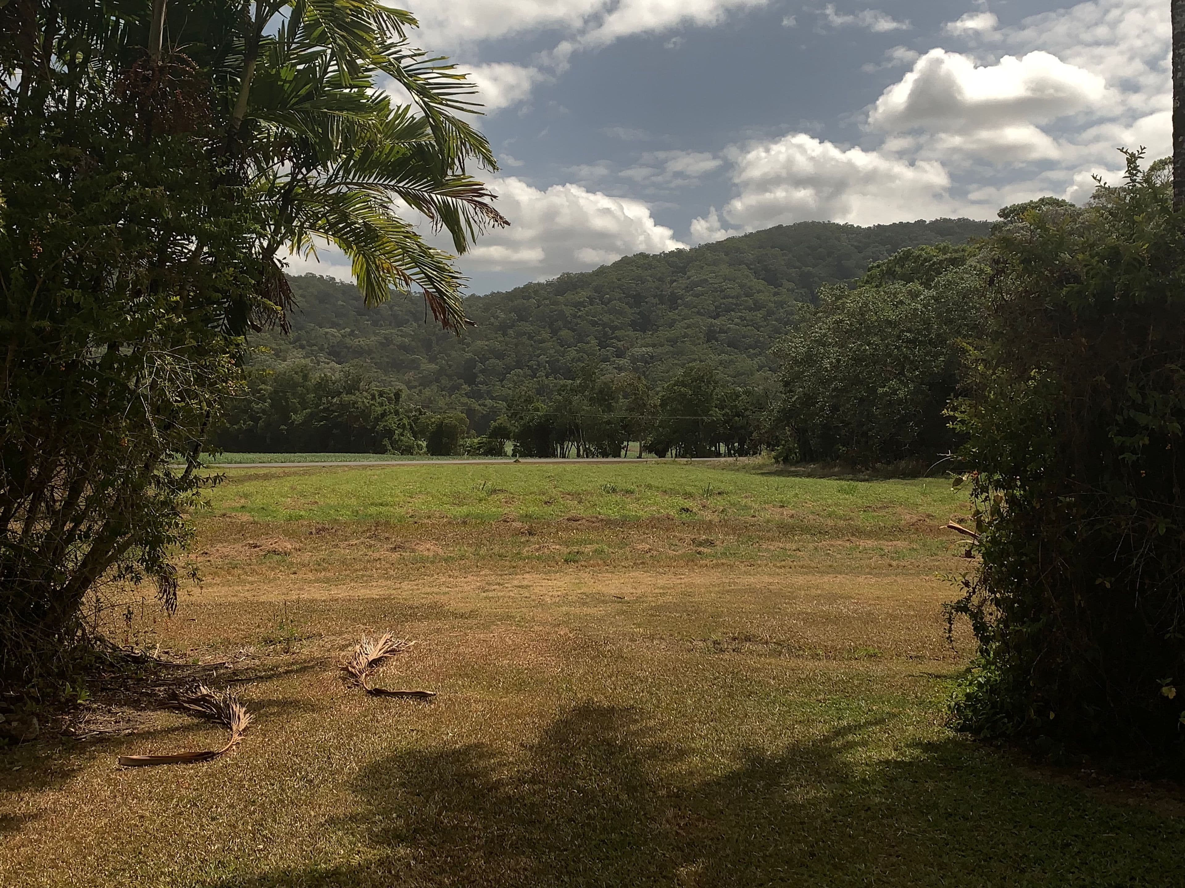 Lot 1 Mossman Daintree Road, Wonga Beach QLD 4873, Wonga Beach - Thumbnail 6